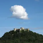 Flora *