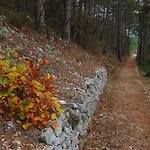 Flora Διαμέρισμα