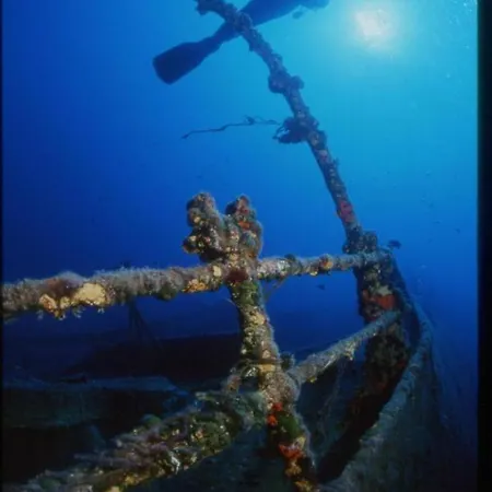 Flora アパート *