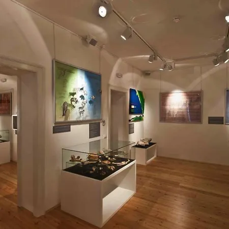 Flora * ツリクヴェニツァ