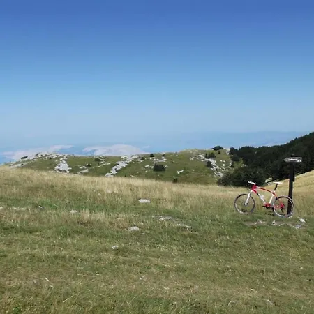 アパート Flora ツリクヴェニツァ